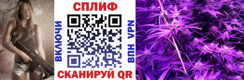 мега онион  Берёзовка  Шишки марихуана марихуана 